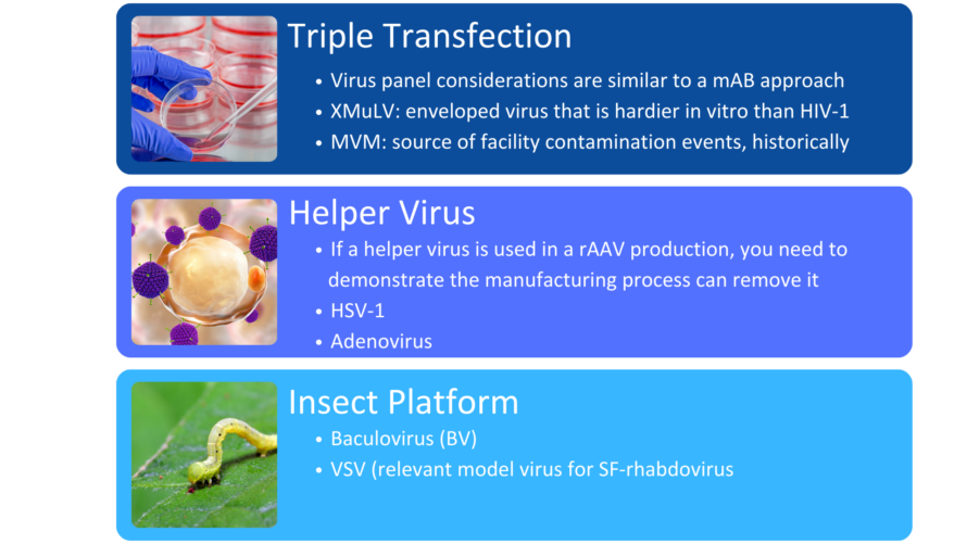 gene therapy platforms, triple transfection, helper virus, and insect based platform