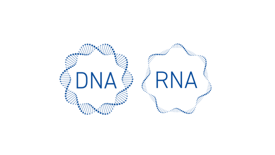 DNA and RNA for viral clearance