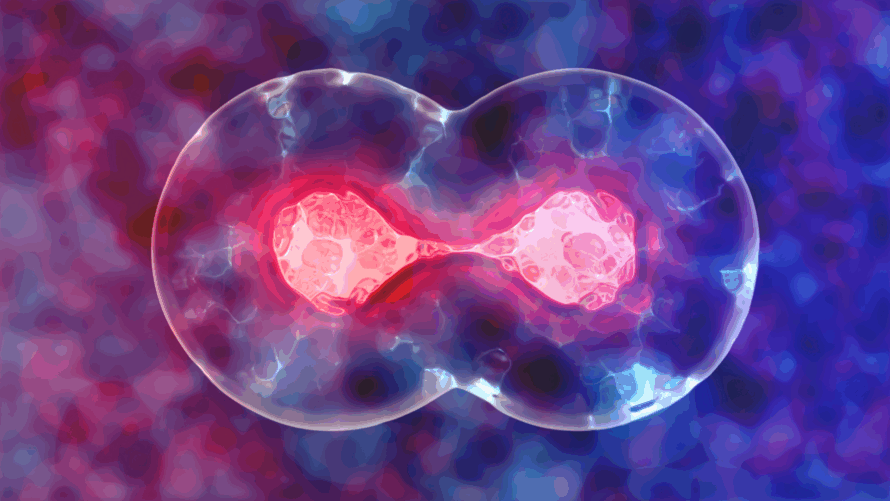 Conditioned Media Cells